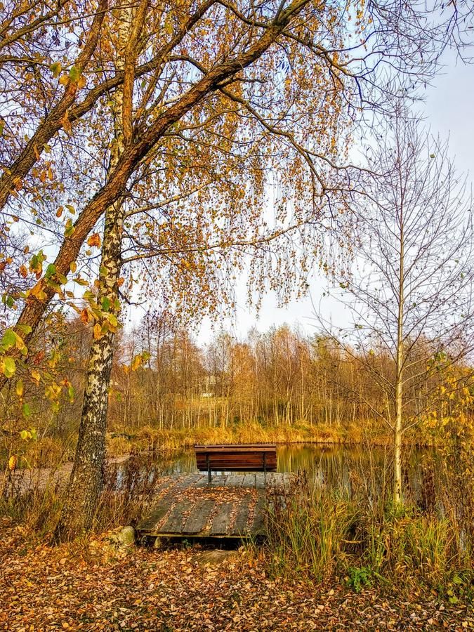 Виллы Akmeninis Bebras Žemaitėliai